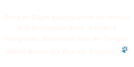 Arva et Eiger championne de travail à la Française.Arva ,trialer à l'anglaise, Bravo les Roc de Tougne
EKKO Bravo les Roc de Tougne ! ￼